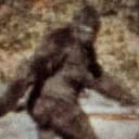 Bigfoot